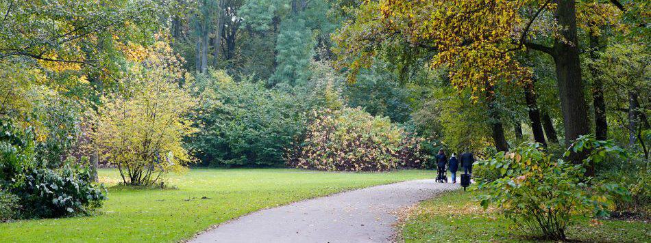 Ein geschwungener Weg durch eine frühherbstliche Parklandschaft.