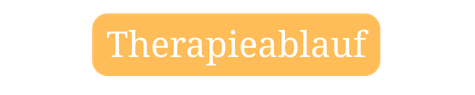 Therapie-Ablauf